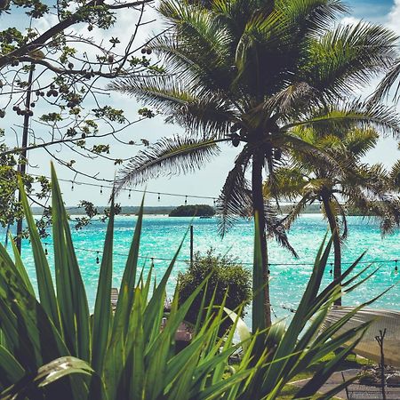 Tortuga Bacalar Bed & Breakfast Exterior photo