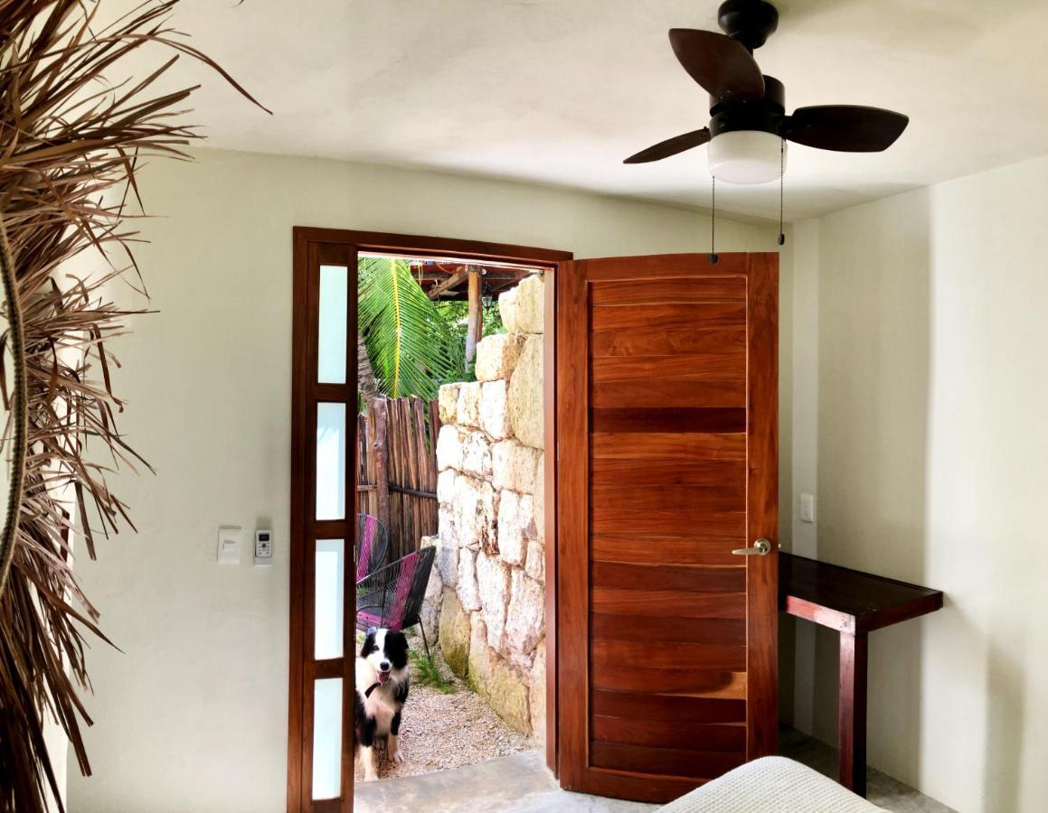 Tortuga Bacalar Bed & Breakfast Exterior photo