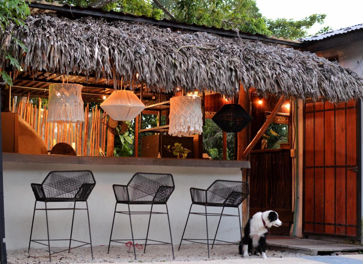 Tortuga Bacalar Bed & Breakfast Exterior photo