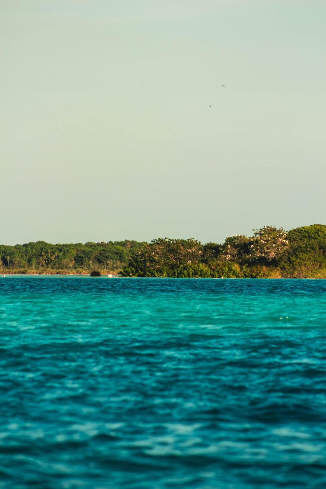Tortuga Bacalar Bed & Breakfast Exterior photo