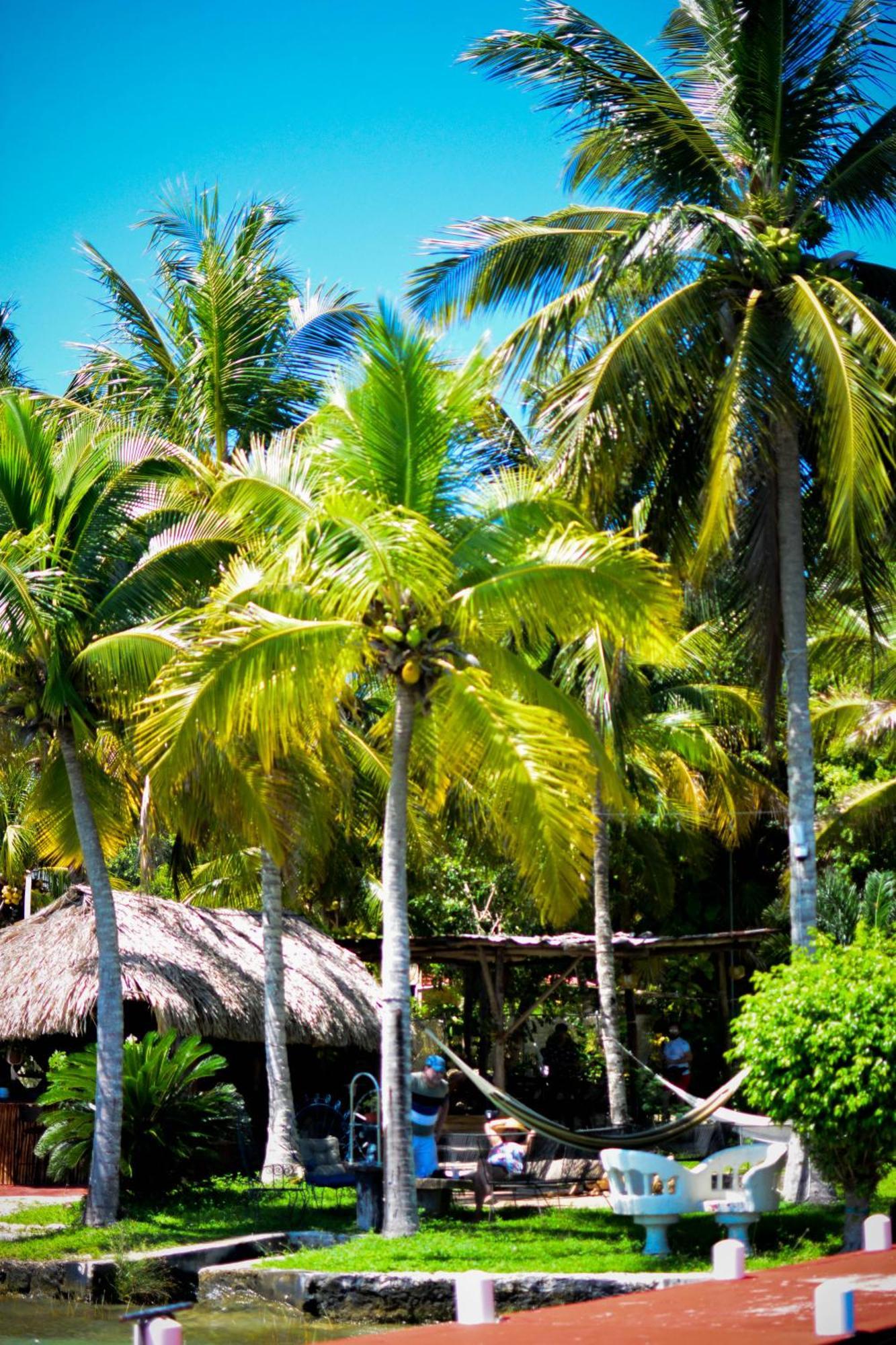 Tortuga Bacalar Bed & Breakfast Exterior photo